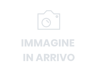 Volvo XC40 2.0 b4 Plus Dark auto